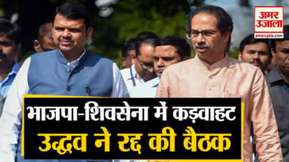 CM Fadnavis himself had uttered the '50-50 forumula': Sanjay Raut