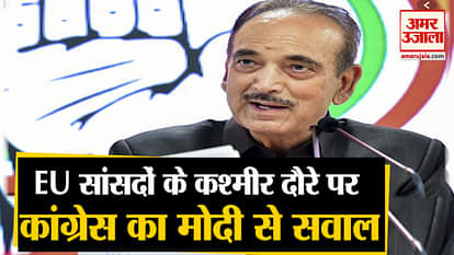 Jammu Kashmir European union mp congress ghulam nabi azad statement