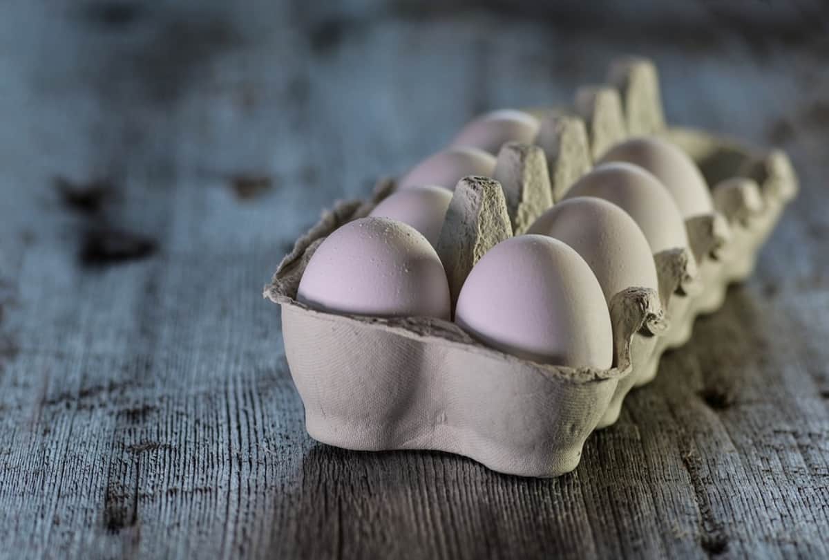 Madhya Pradesh debating on anganwadi meals for eggs vegetarian or non vegetarian