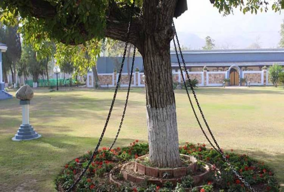 pakistan banyan tree which arrrested  by drunk british army officer