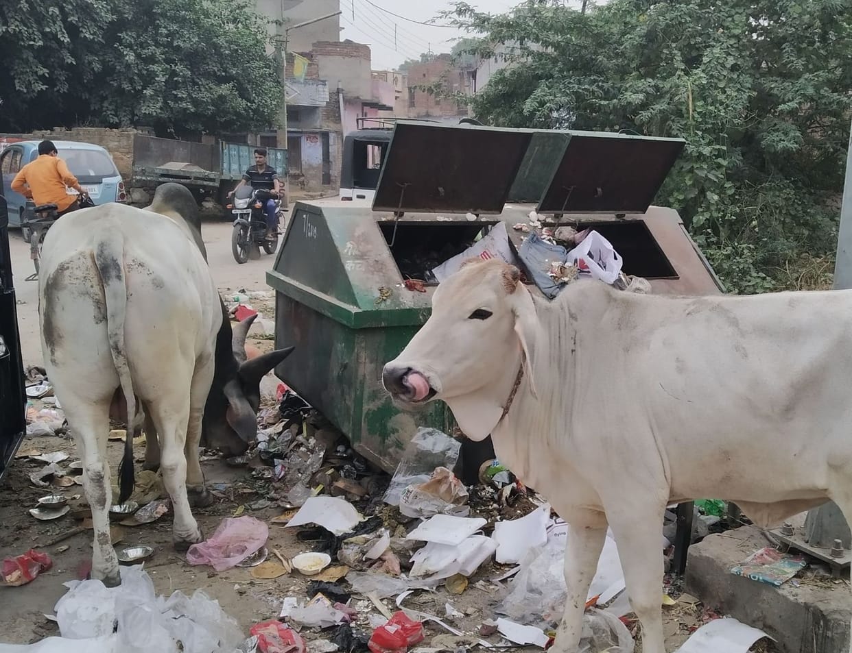 dustbin,municipal commitee,Tender,Plan