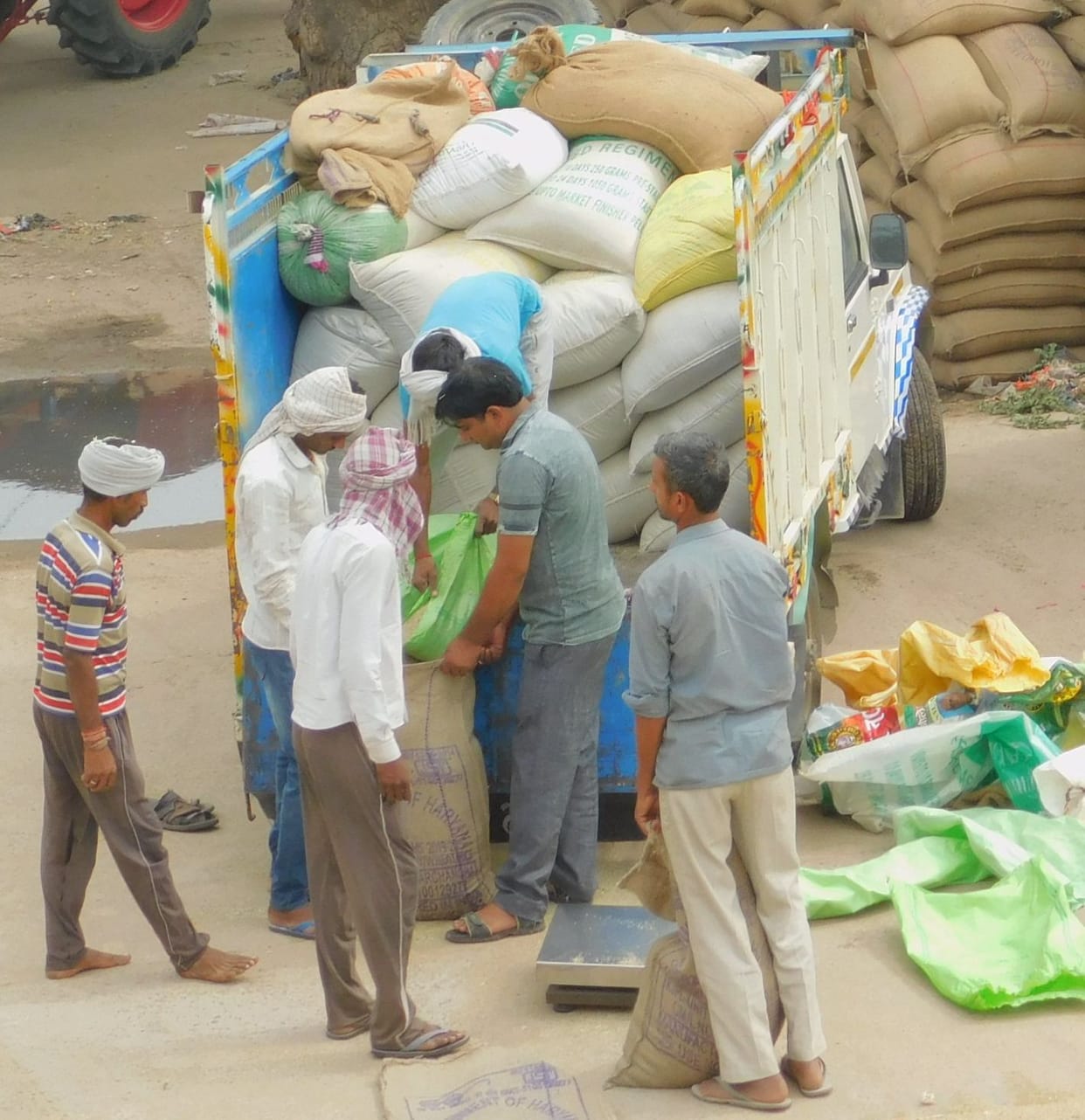 farmar,grain market,Pearl Millet,rate