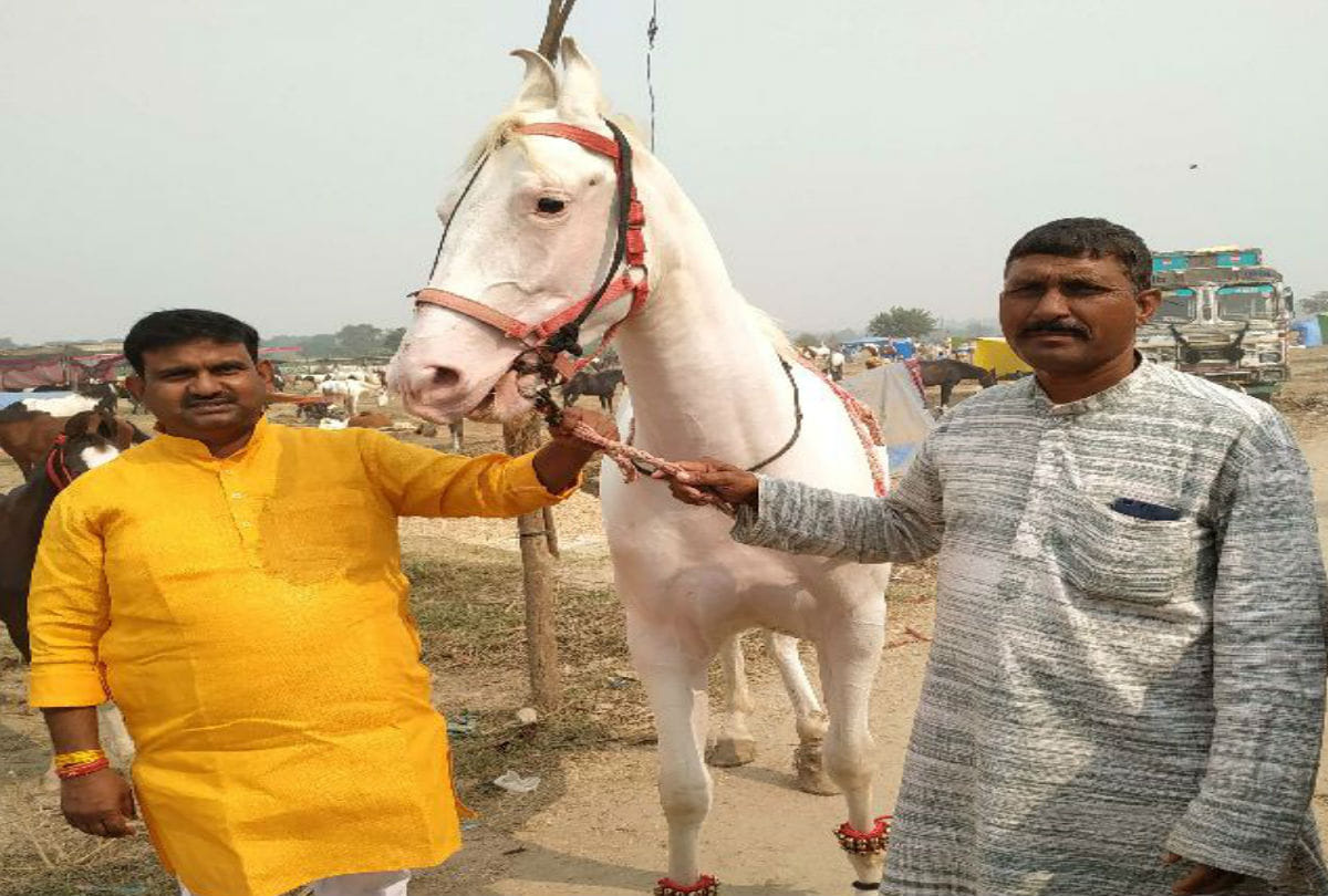 Donkey Rupees 4.50 lakh at Bateshwar Mela Agra
