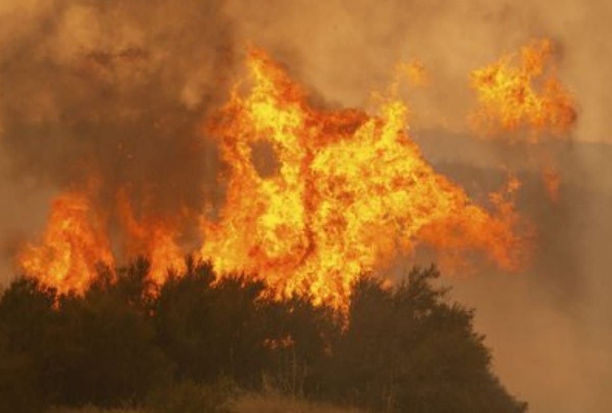California: More than 7 million acres spread in the forest, the fire caused destruction