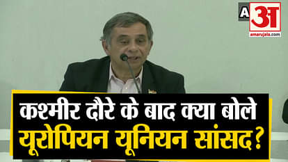 European Union mp press conference in srinagar jammu Kashmir article-370 Pakistan