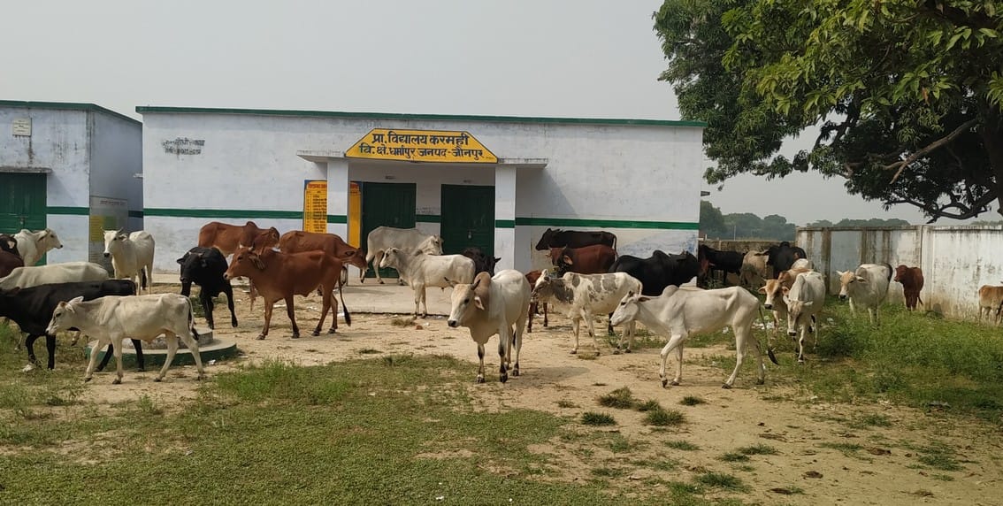 Farmers protest holiday animals in school