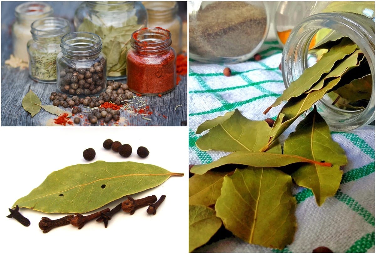 tej patta health benefits bay leaf home remedies and health care