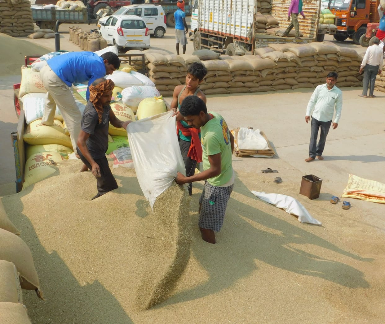 farmar,grain market,Pearl Millet