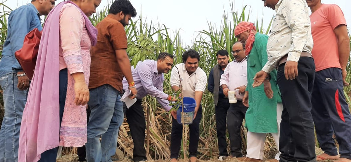 Plantation done at Kali River point of origin