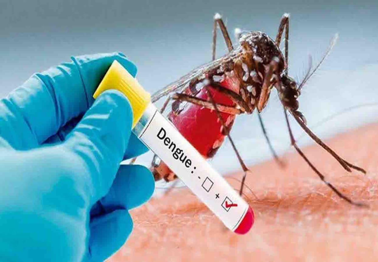 Two died of dengue in Kanpur, one died due to fever