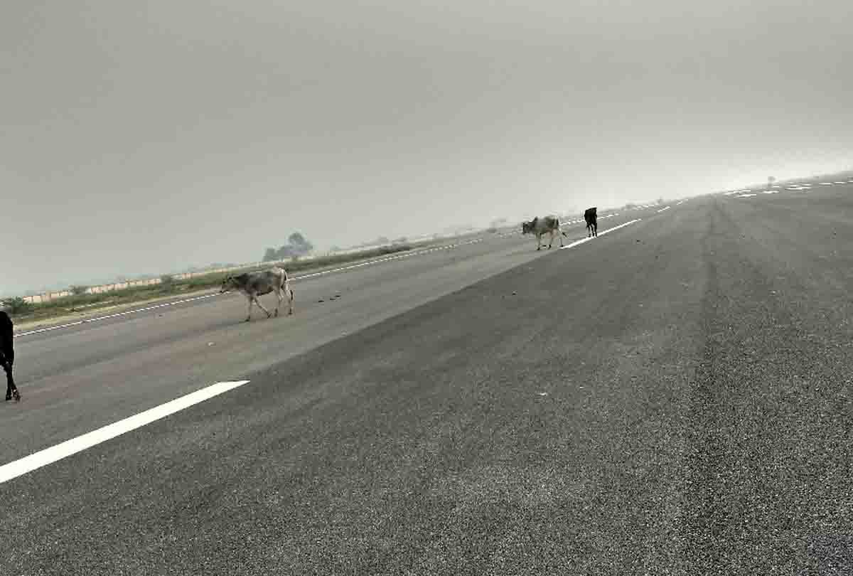 10 kilometer radius around Dhanipur airport restricted