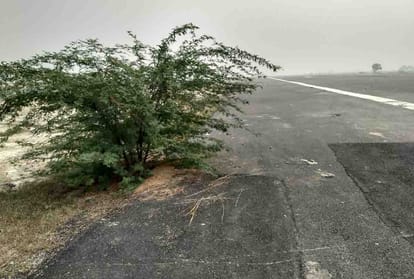 Stray animals at the airstrip built at a cost of over Rs 300 crore