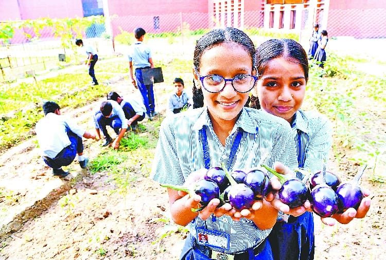 chandigarh school students learning organic farming