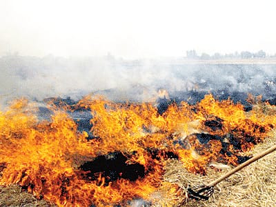 20 farmers fined for causing pollution
