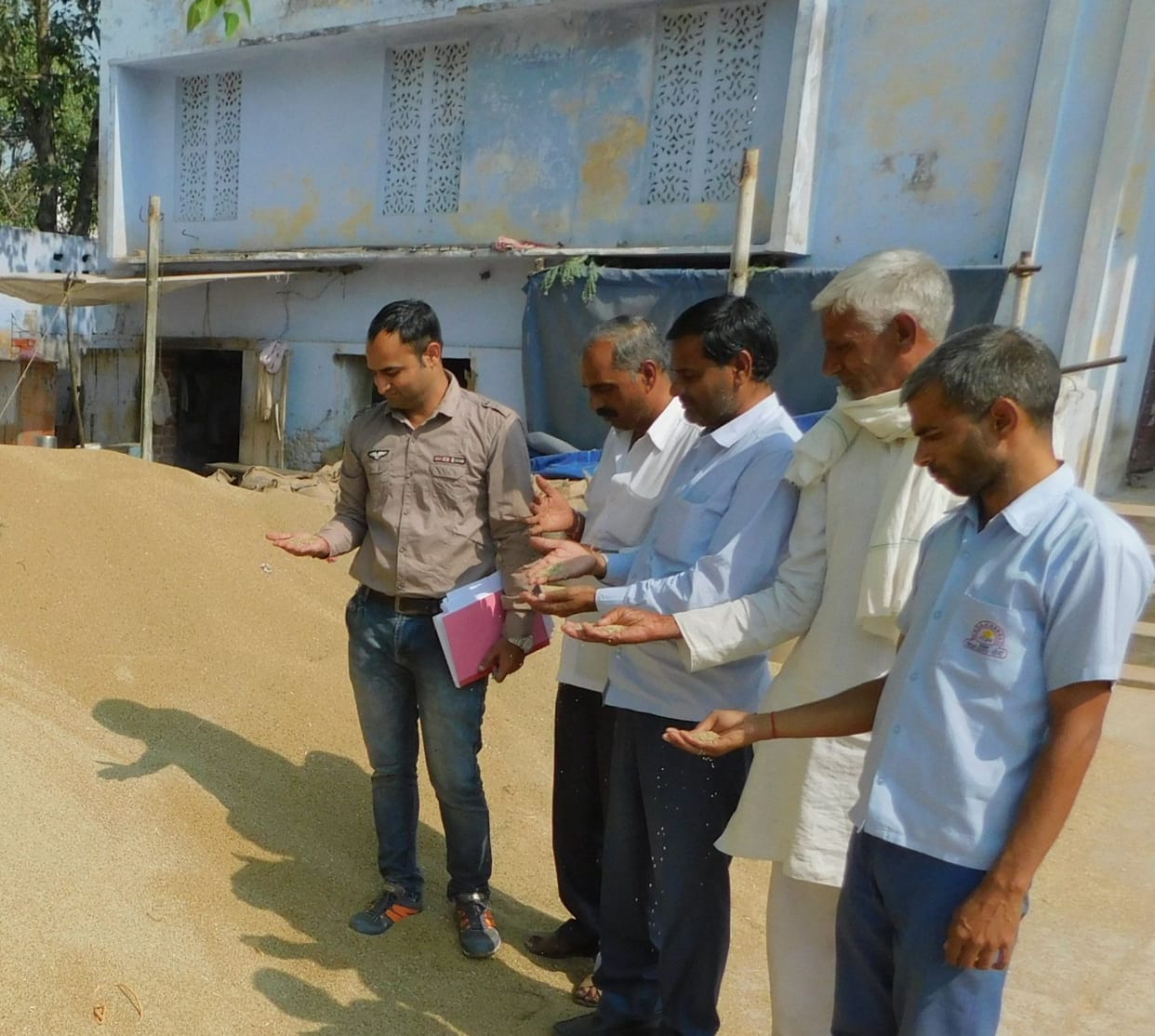 labour,farmar,grain market,Pearl Millet