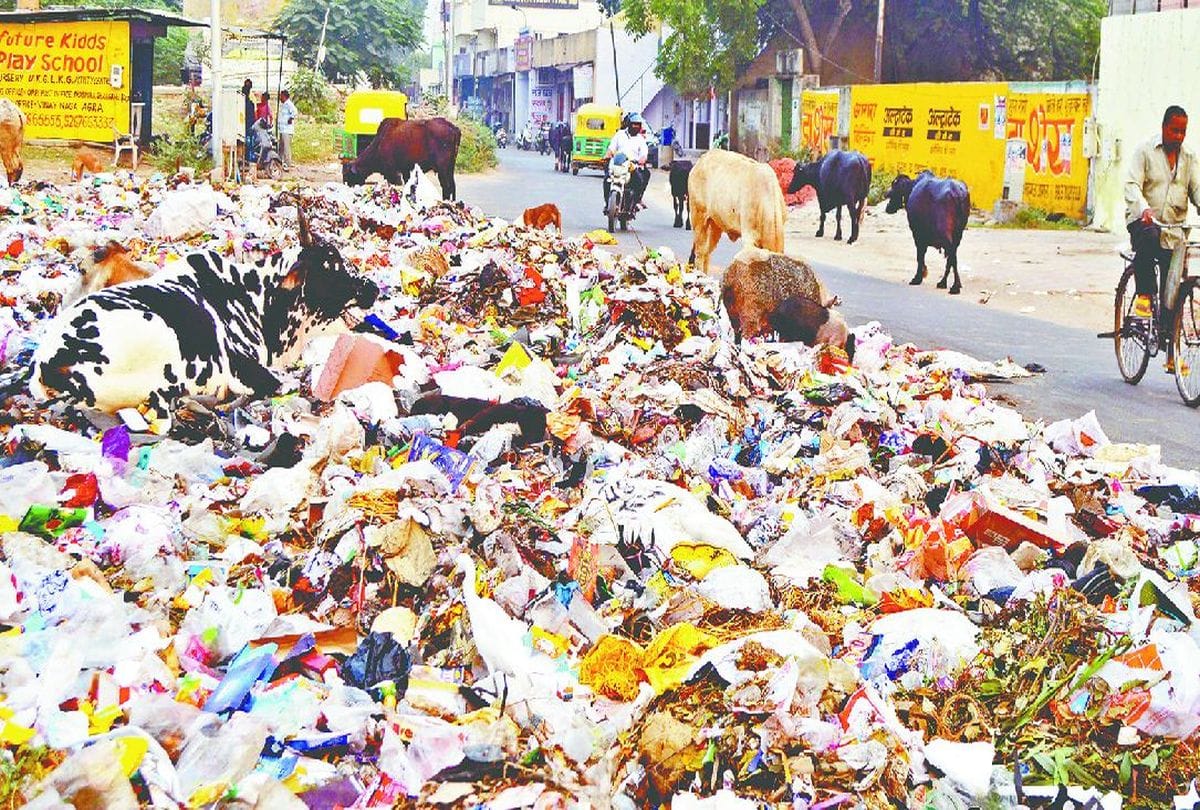 Cities in India generating 1.45 lakh tonnes of garbage daily