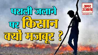 Why are farmers forced to burn stubble?