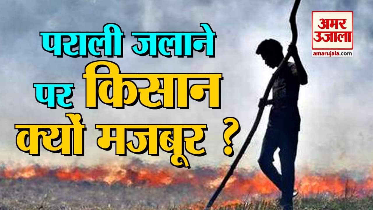 इंडिया न्यूज