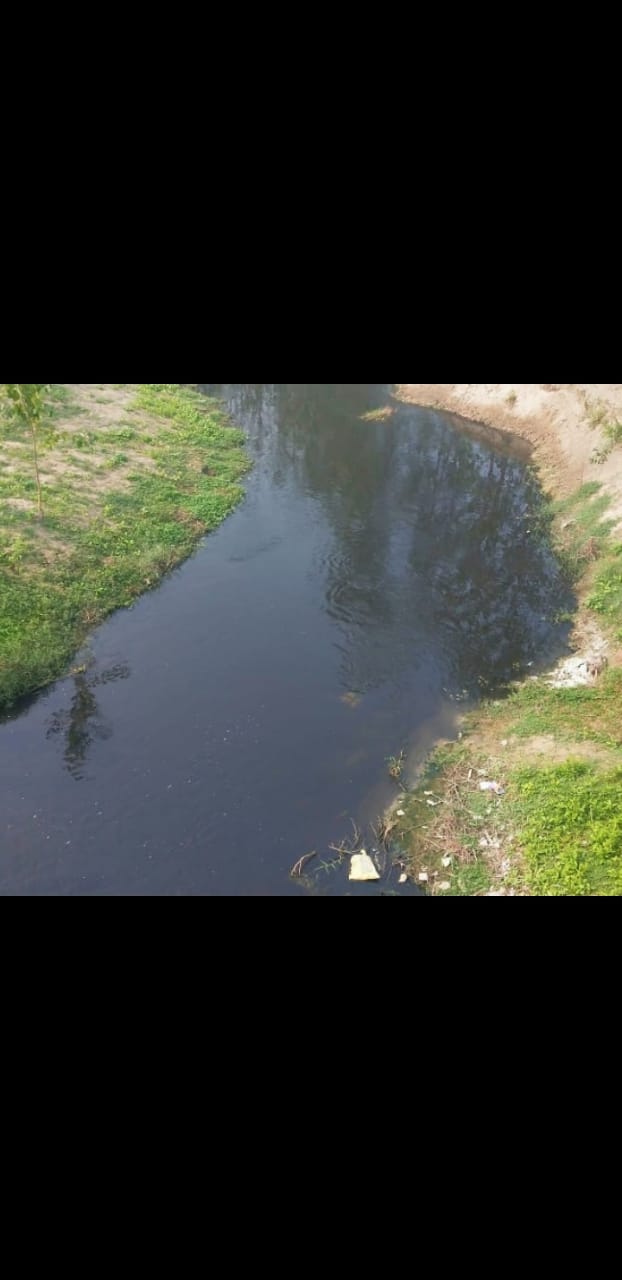 Typhoid spreading from contaminated water in Kasauli