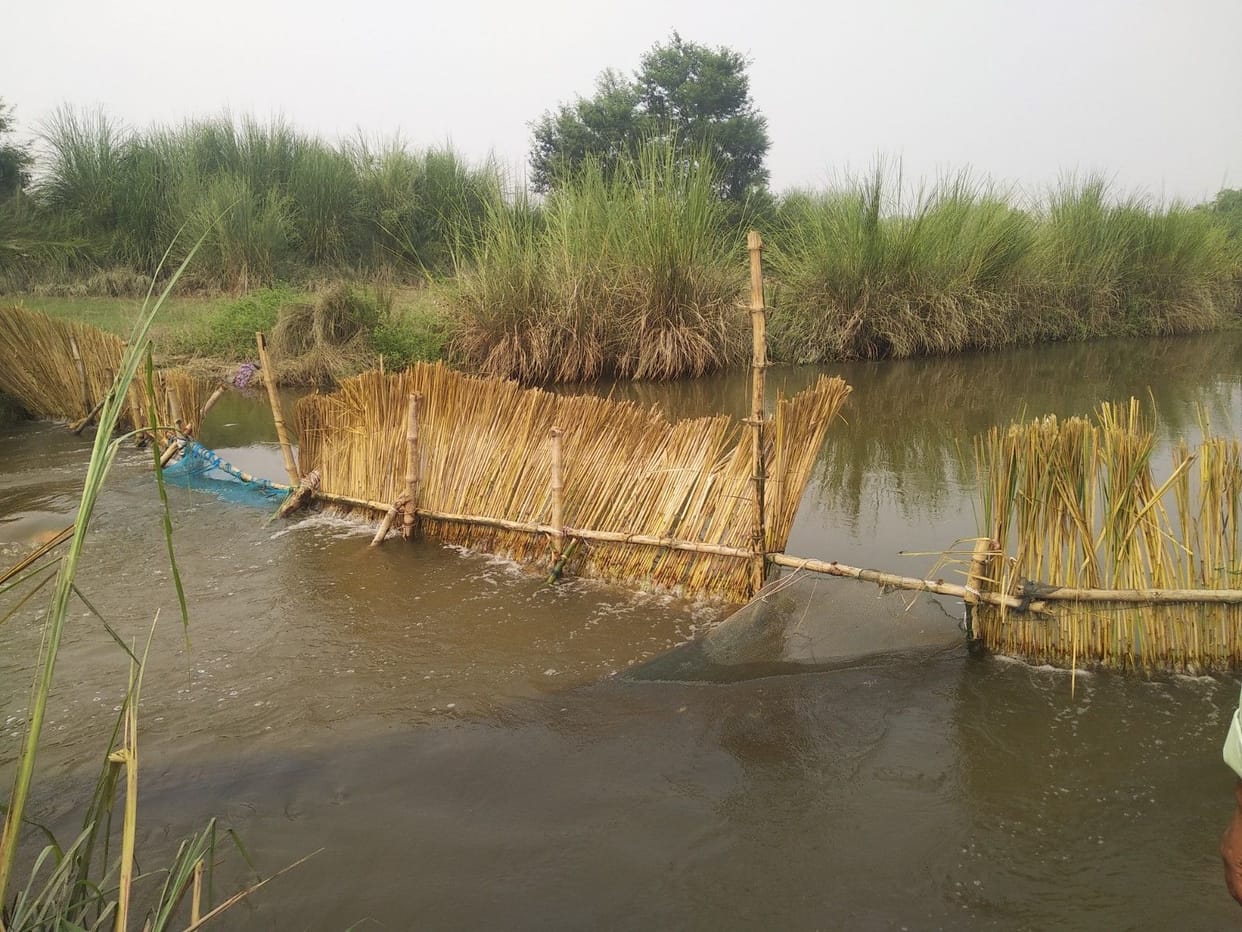 mau news dam