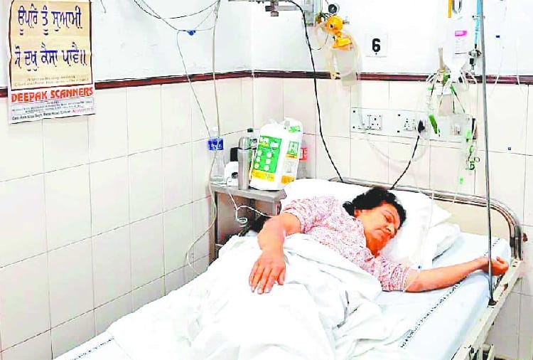 Bee stings 72 times for a woman who went for a walk