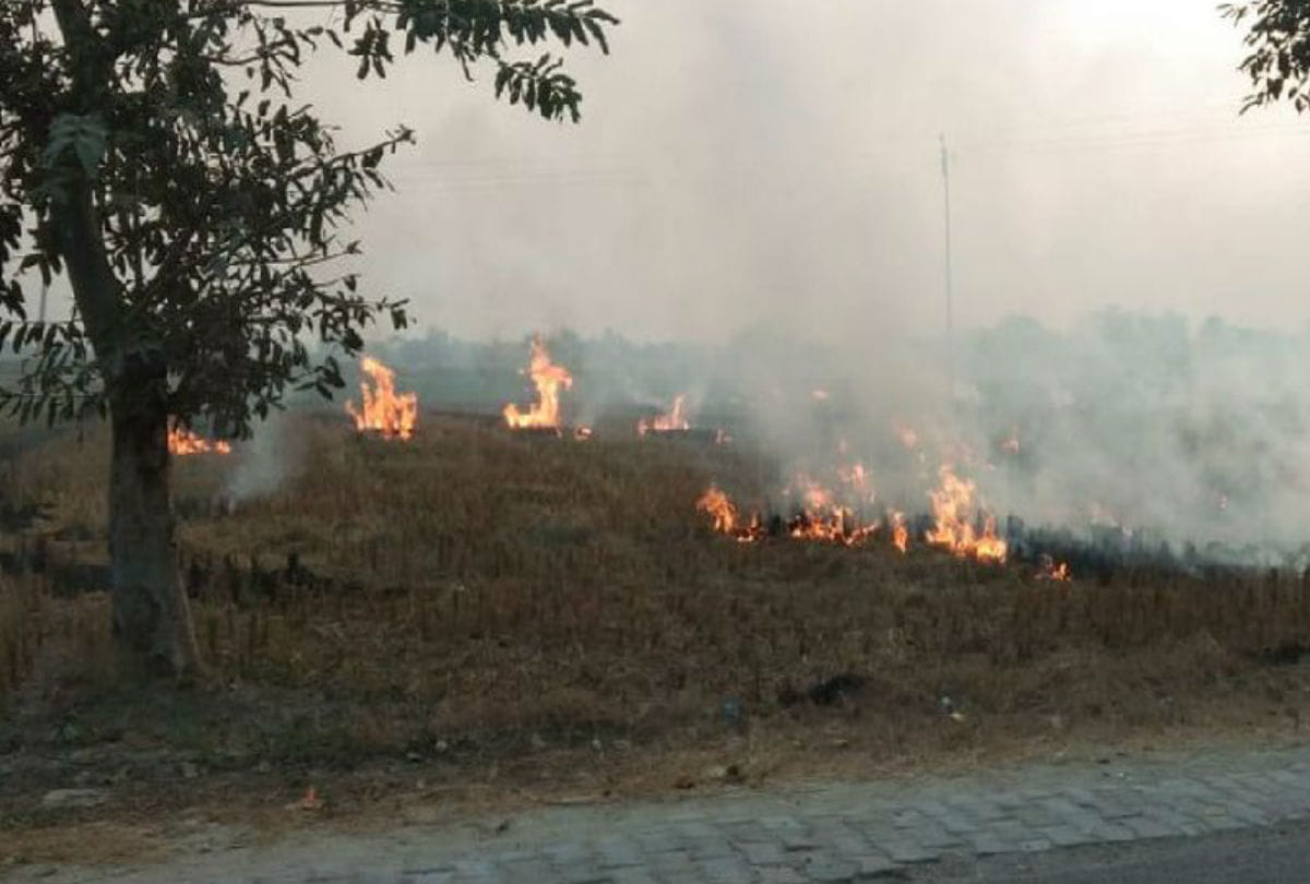 Air Pollution in Delhi-NCR, Stubble burning by farmers, What is AQI, Today's AQI Report