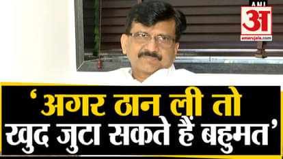 After meet sharad pawar Sanjay raut tweet on bjp Maharashtra shiv-sena chief minister