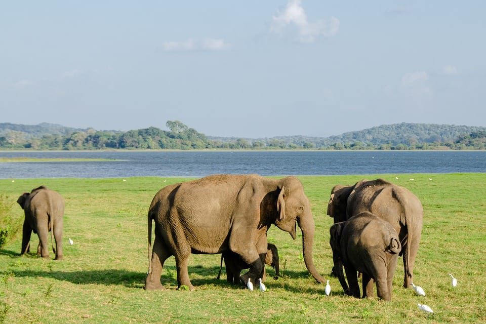 cheapest countries to visit from india and tourist destinations