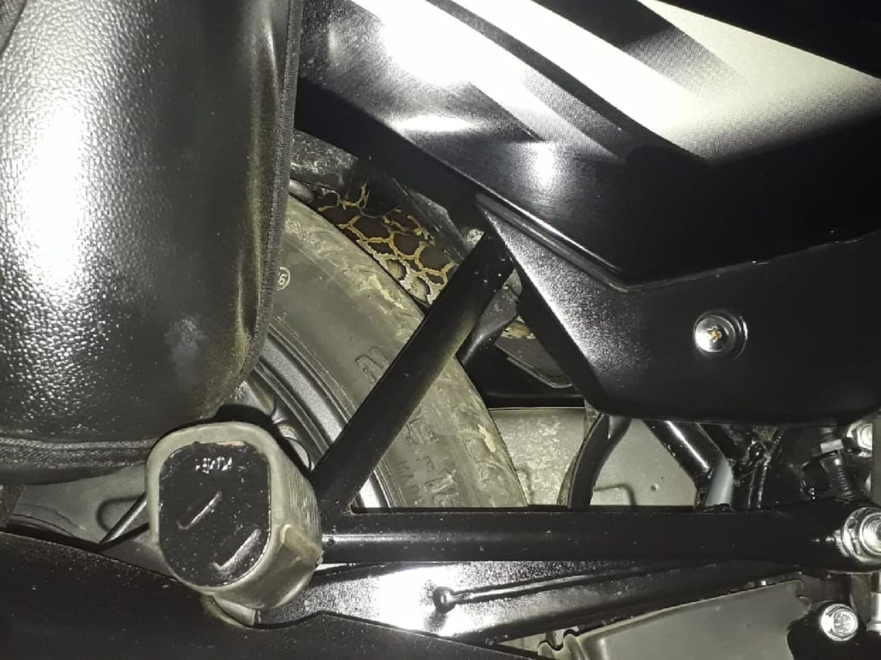 Stirred to see dragon wrapped in bike