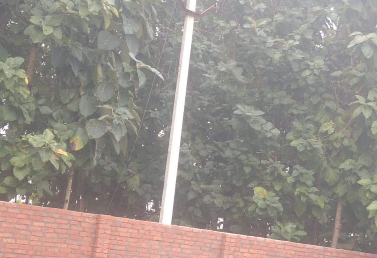 High tension wire fell on school boundary, chaos