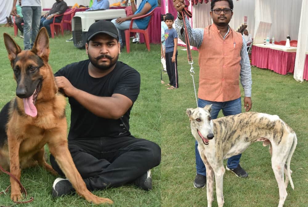 astrology tips auspicious and inauspicious situations in daily life