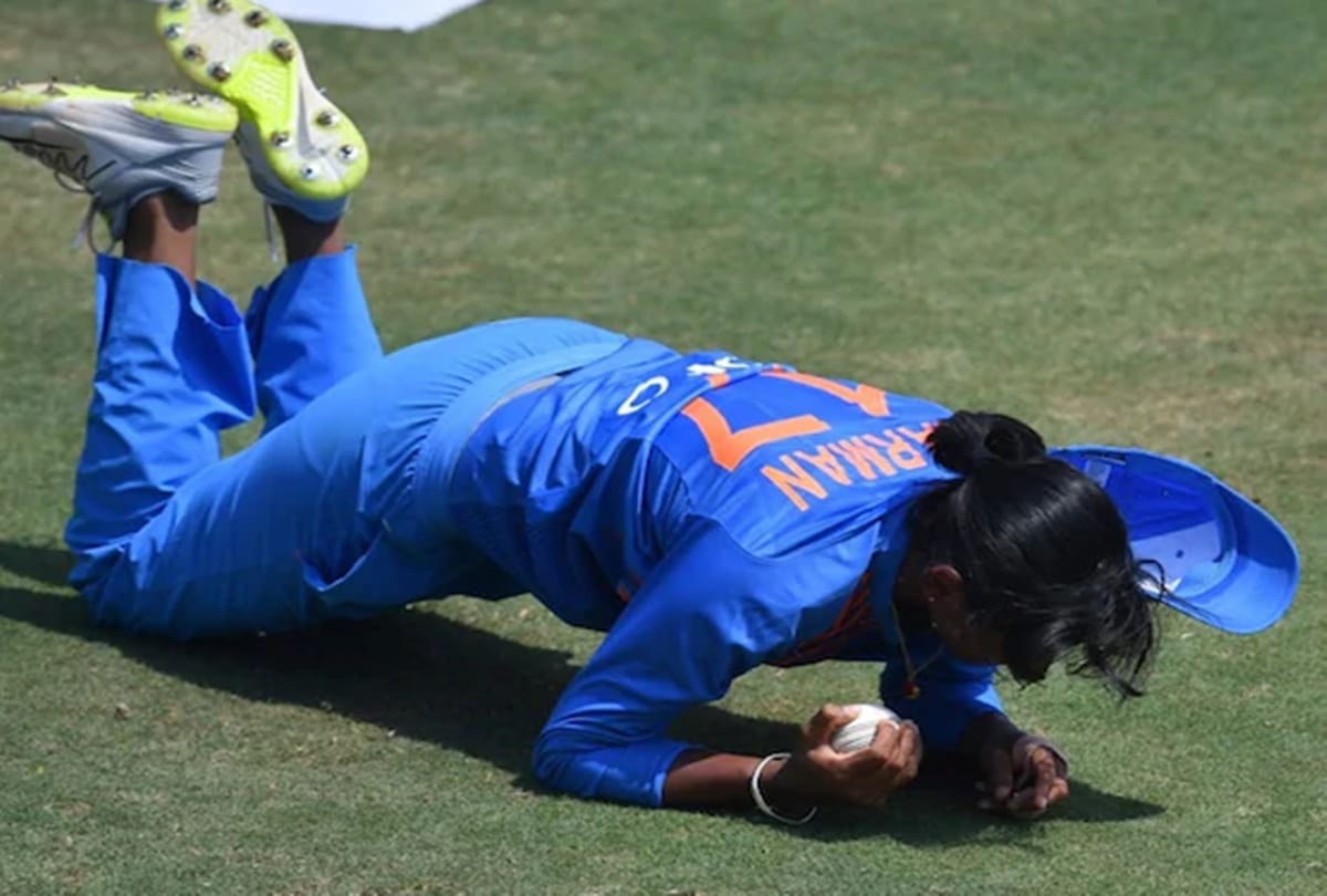 VIDEO: Harmanpreet Kaur Takes stunning one Handed Catch, video goes viral