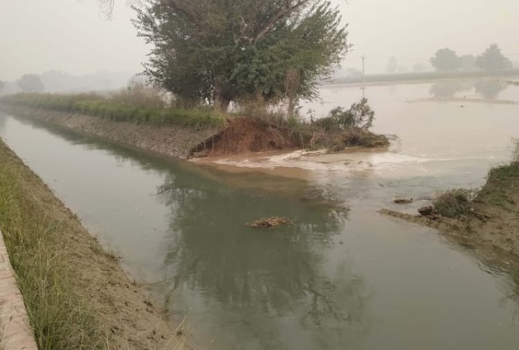 300 acres of crop submerged due to Canal broken