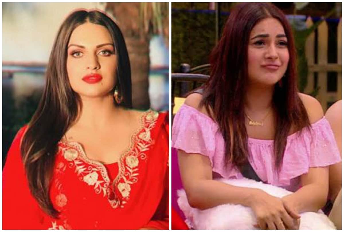bigg boss 13 shehnaz gill is the real player of bigg boss truth has come out