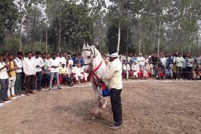 horse dance competition organised