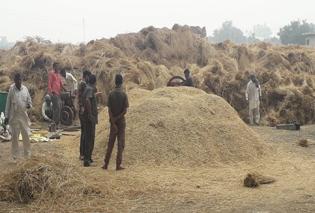 Pathankot became pollution-free district for the fourth time due to non-burning of straw