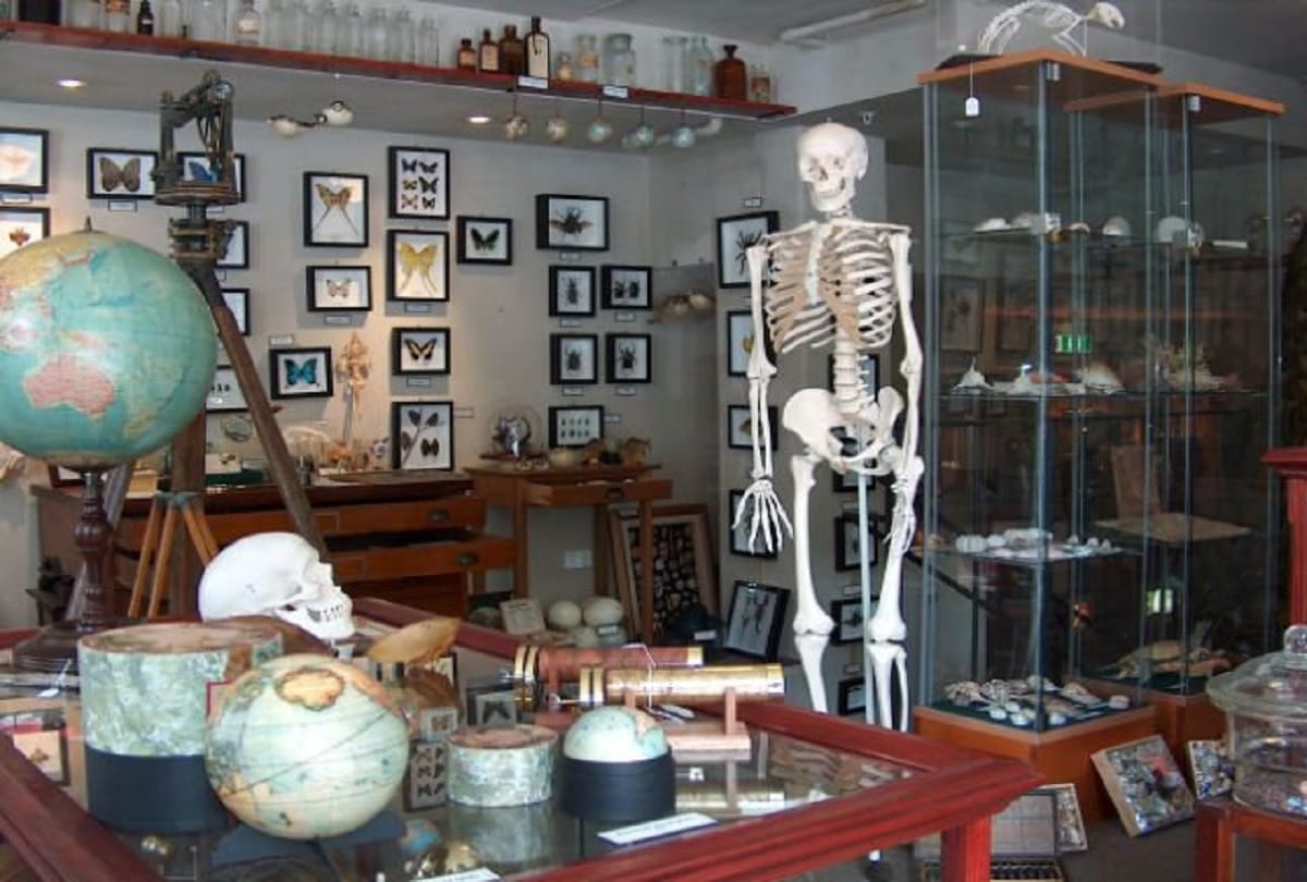 Weird but Interesting museums in India that deserves a visit
