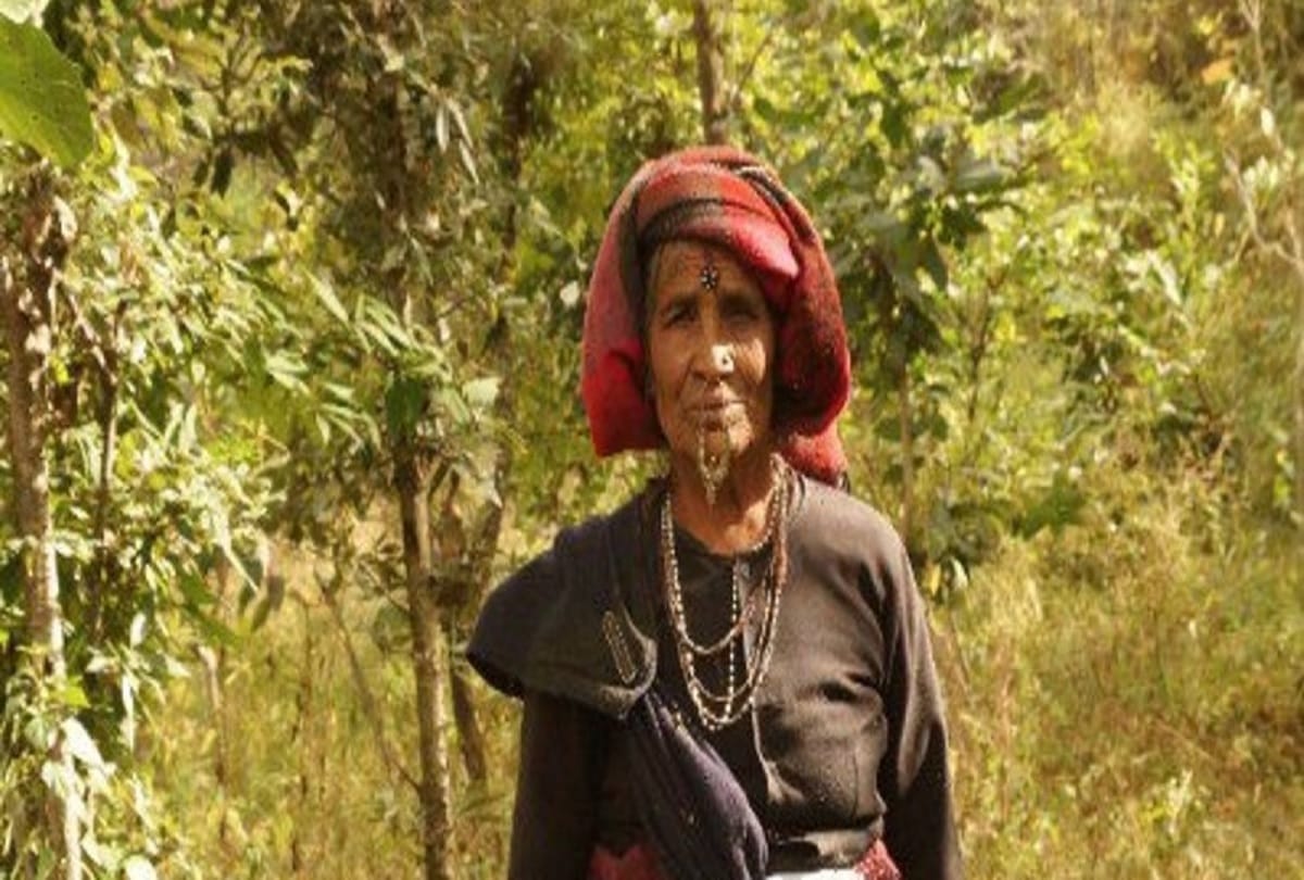76 year old woman plants more than 500 trees in Uttarakhand