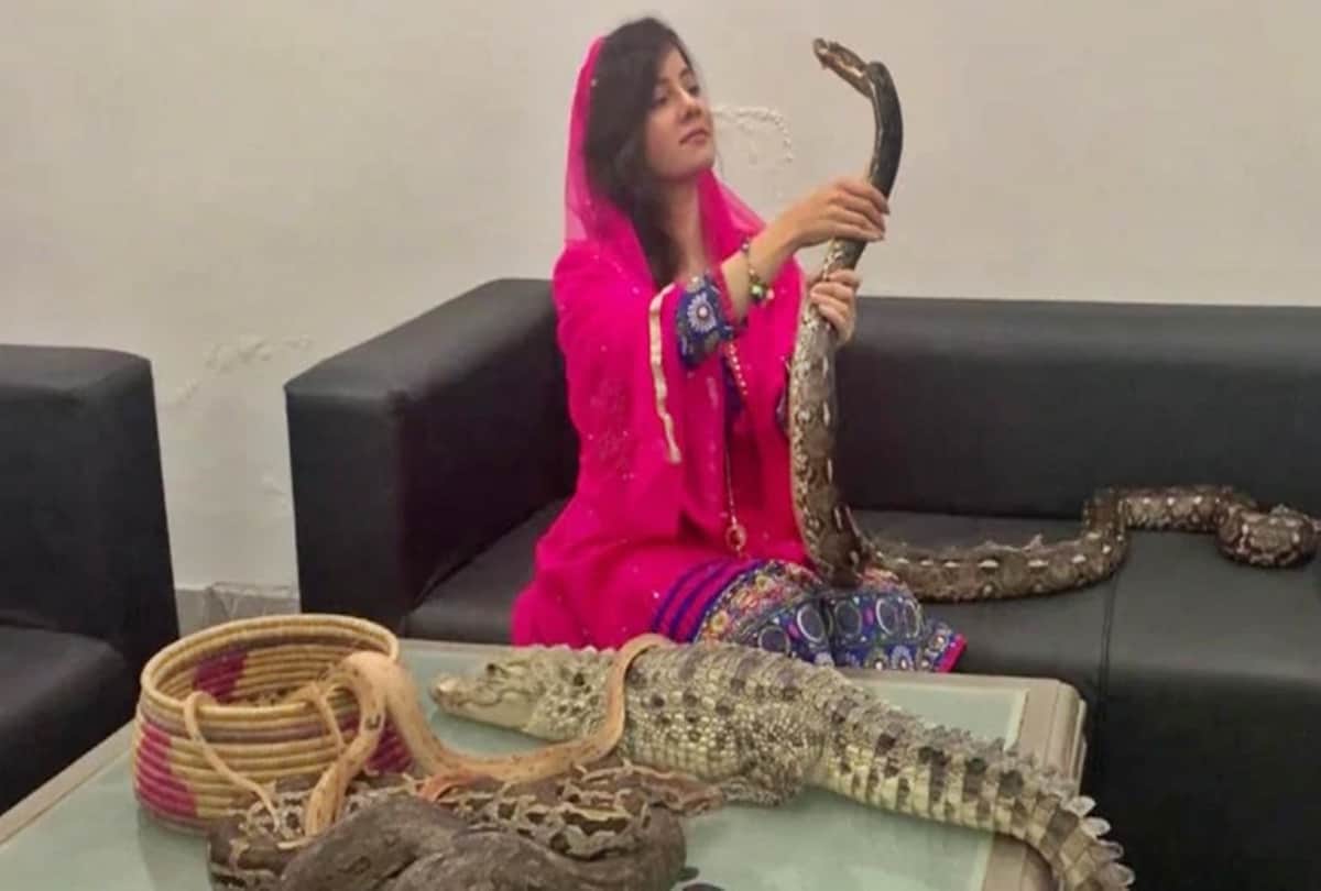 Pakistani singer Rabi Pirzada who threatened PM Narendra Modi quits showbiz after private pics leak