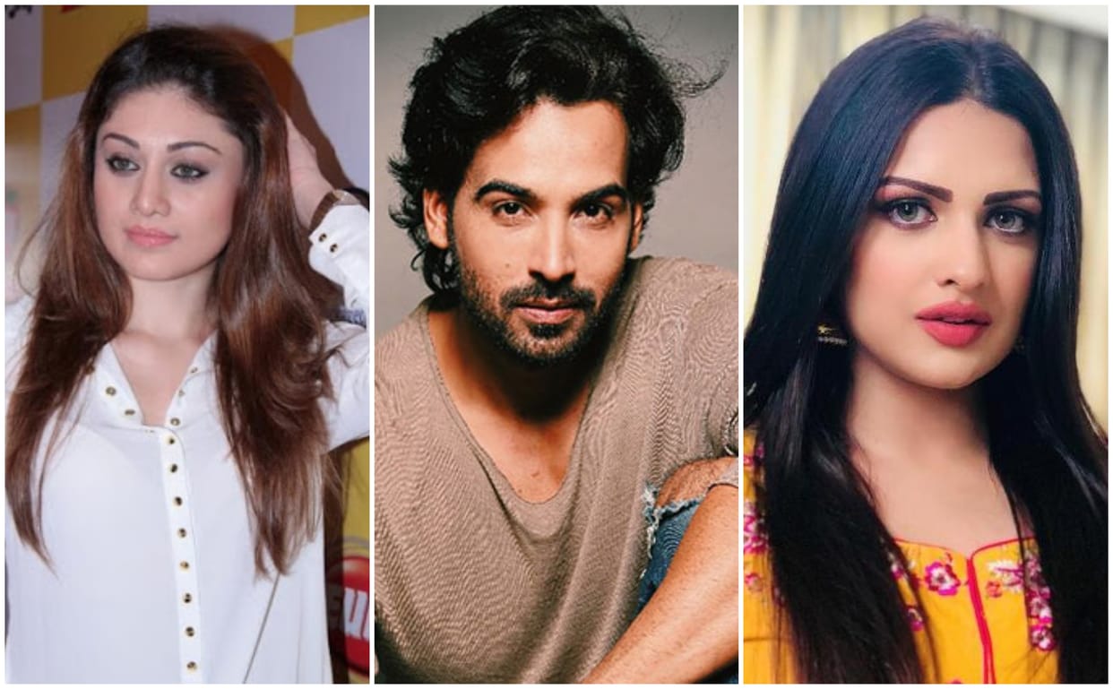Bigg Boss 13 5 contestants wild card entry today know the connection with housemates