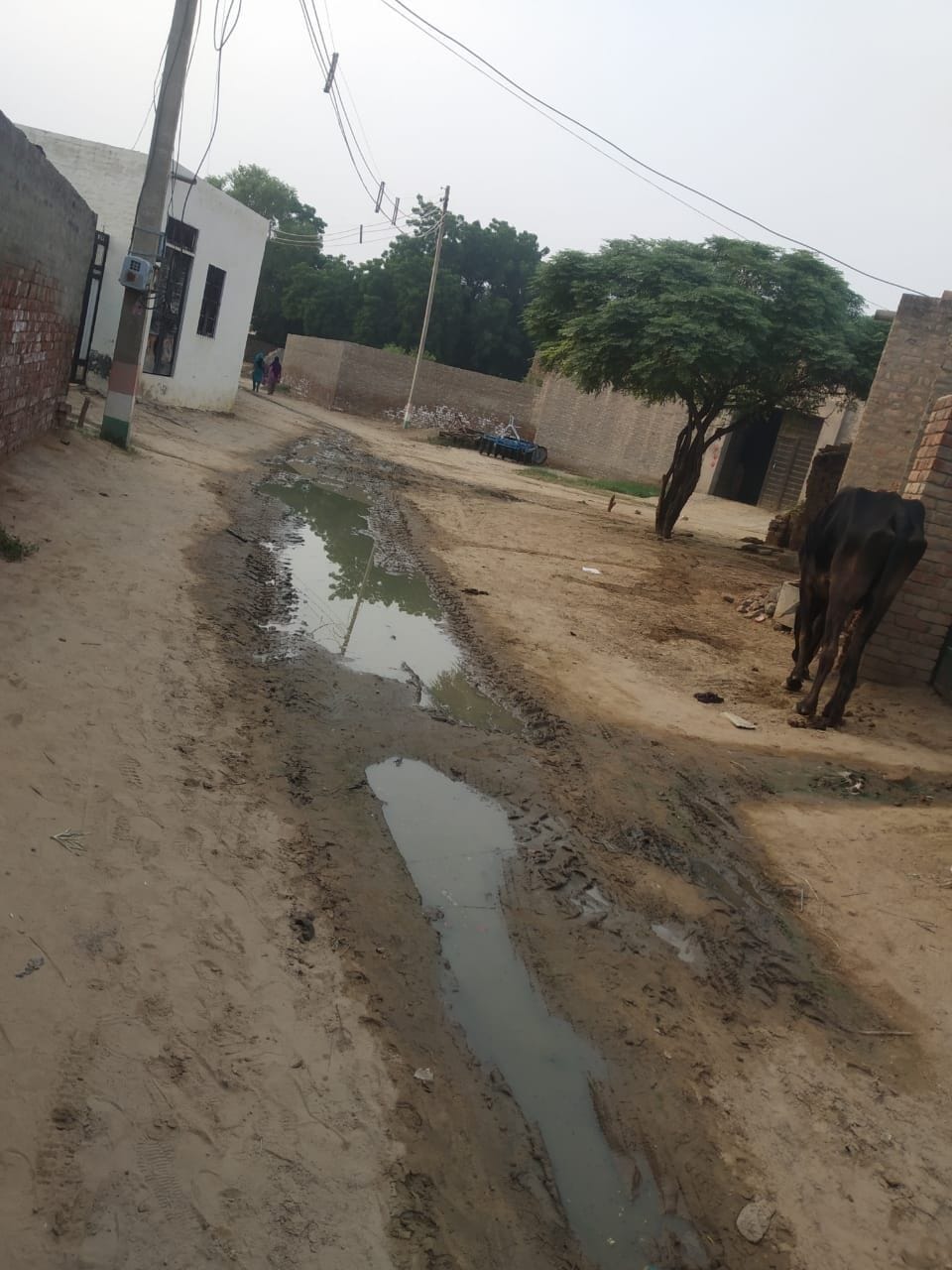 3 names of the village jodkiyan jodiya and jodawali but development zero