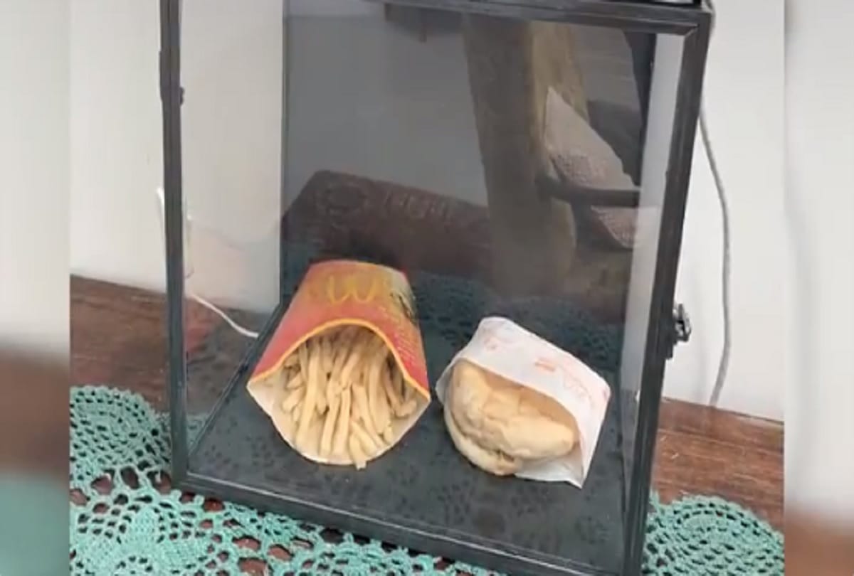 mcdonalds burger survives 20 years and still looks fresh