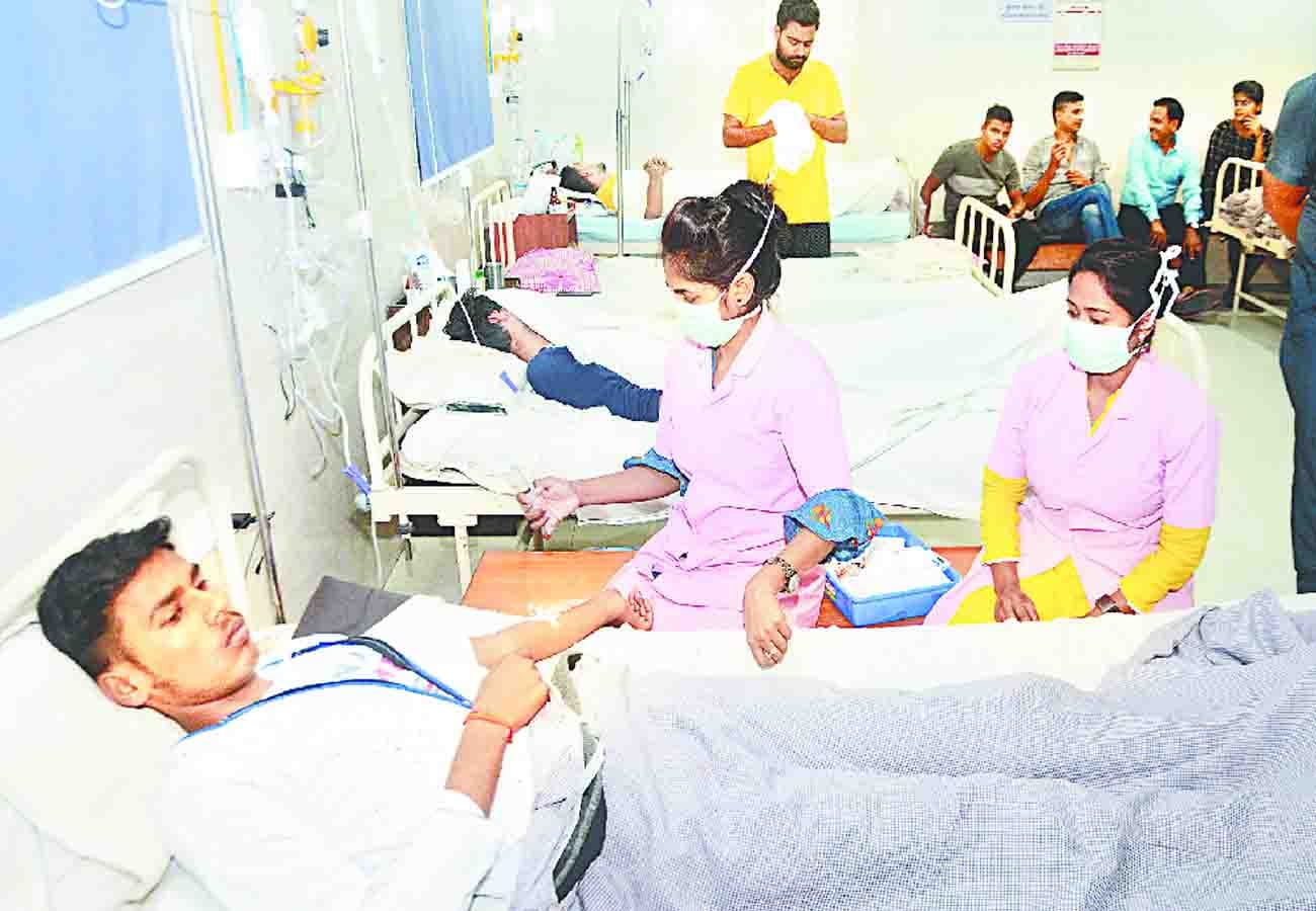 Dengue mosquito grow in clean water
