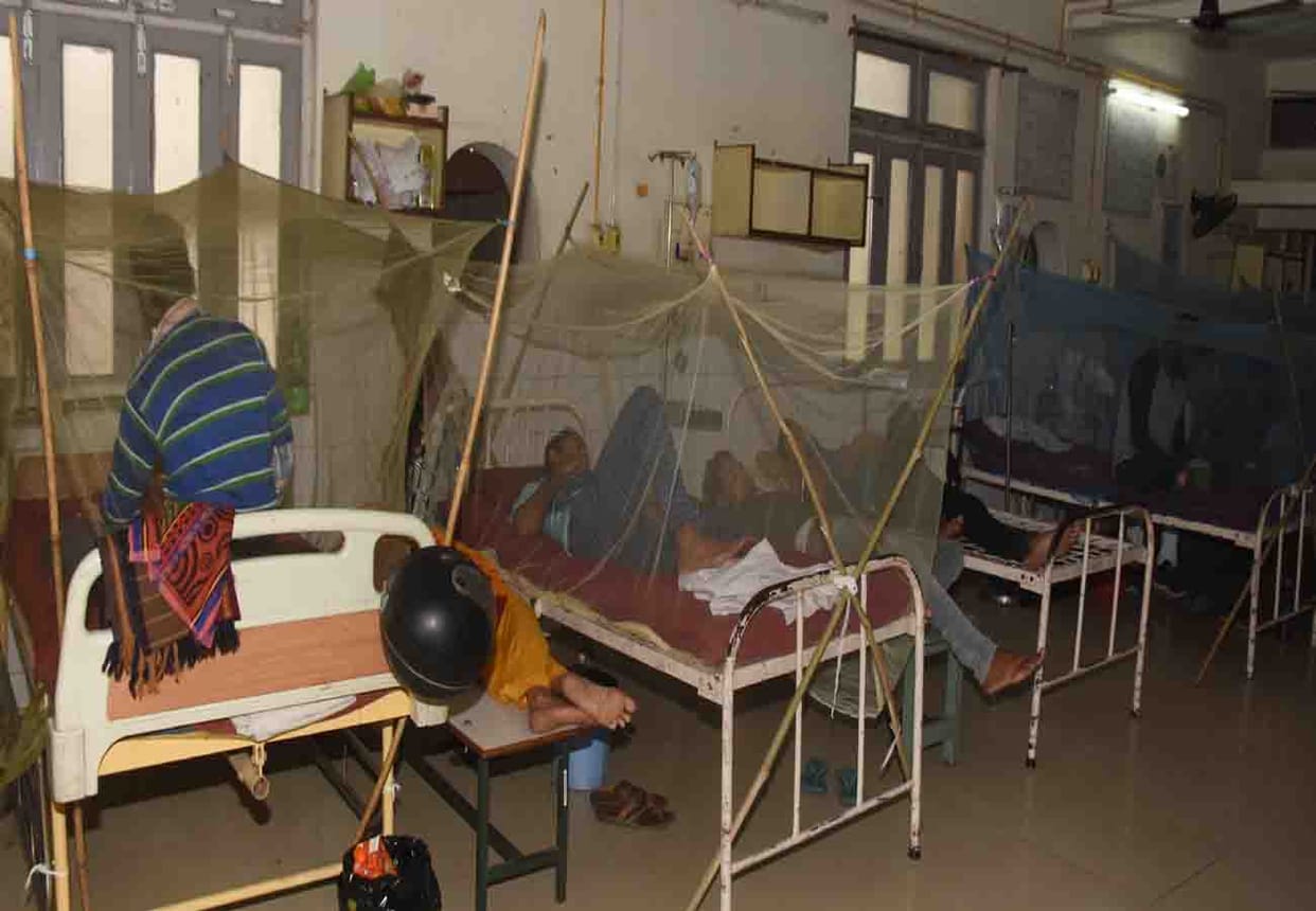 13 more deaths due to dengue in Kanpur