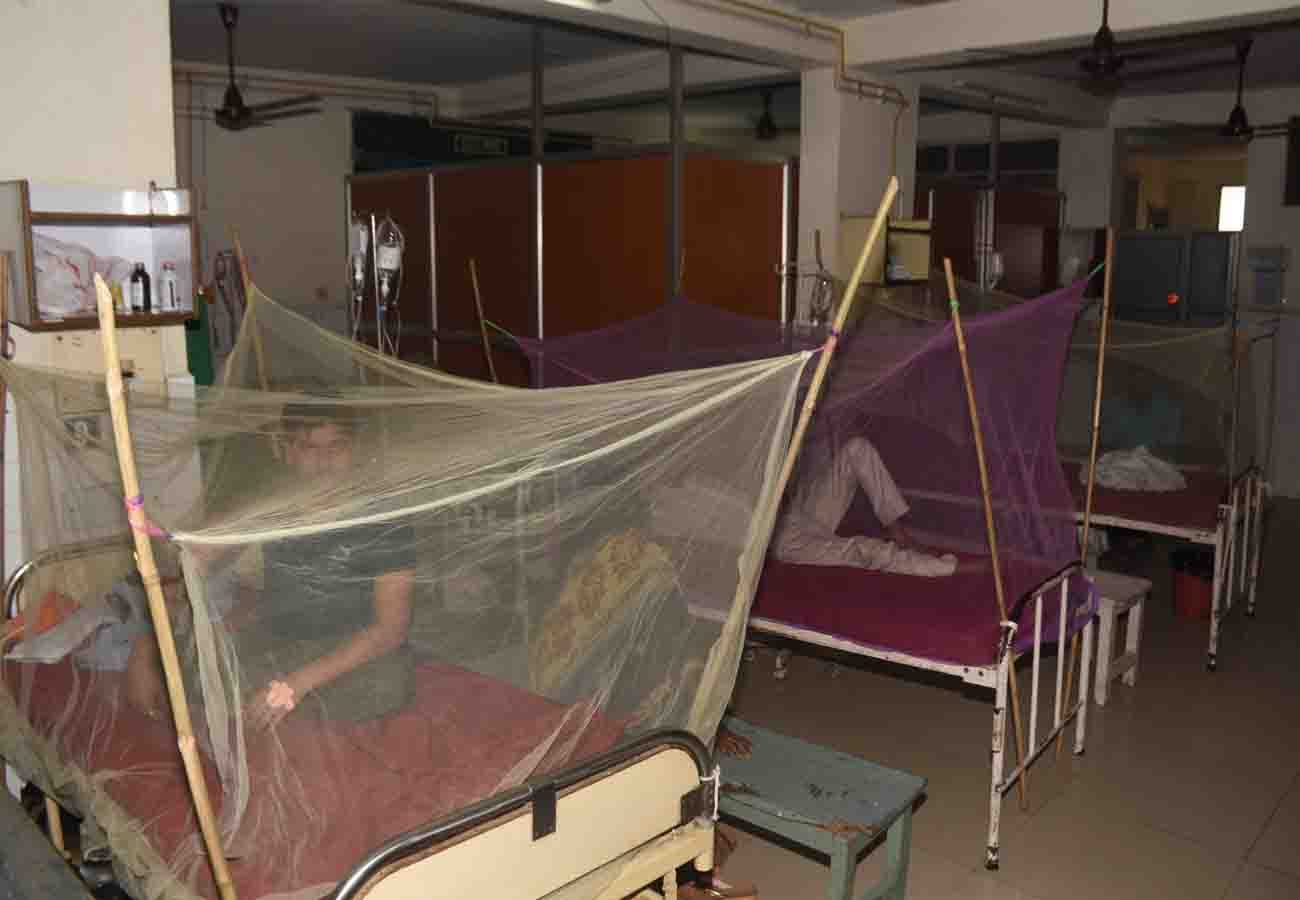 13 more deaths due to dengue in Kanpur