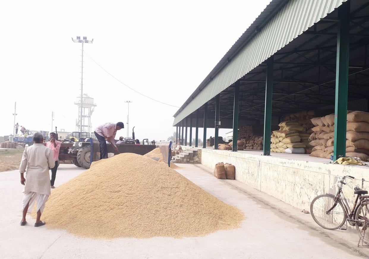 Purchase of nine and a half thousand quintal paddy in a month