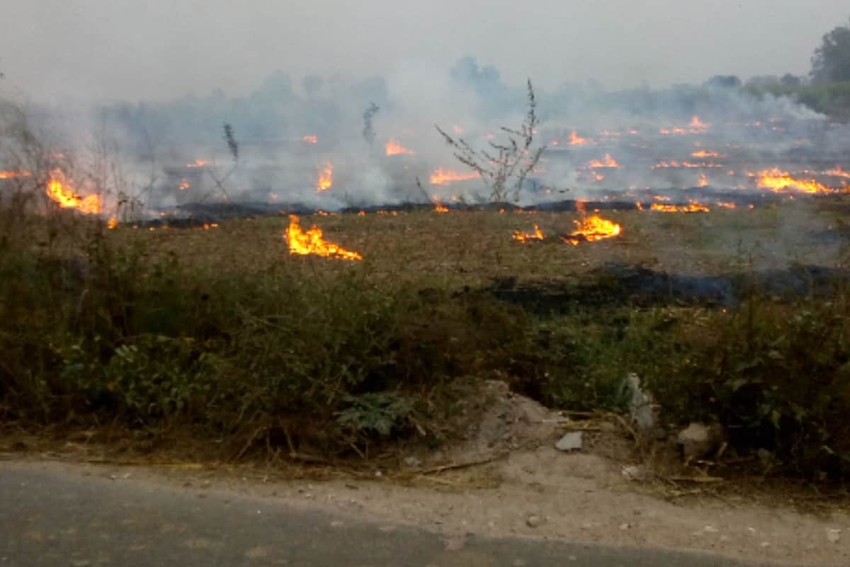 doctor says delhi ncr air pollution is harmful for you