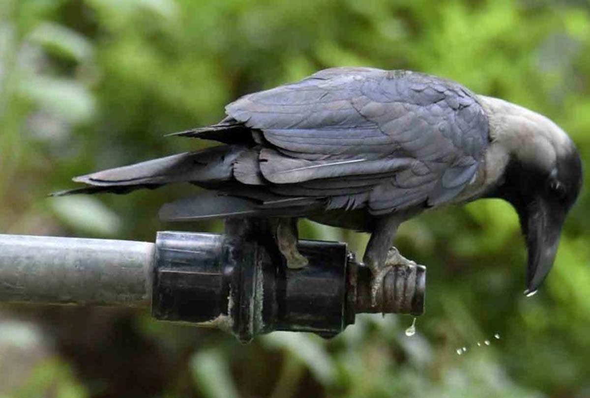 water problem in udhampur, water problem in jammu kashmir, water problem in india
