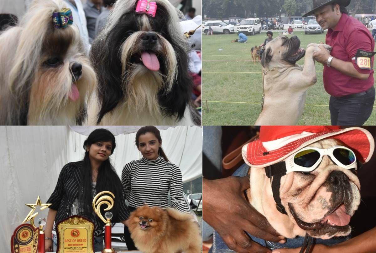 closing ceremony of dog show of amar ulala in lucknow
