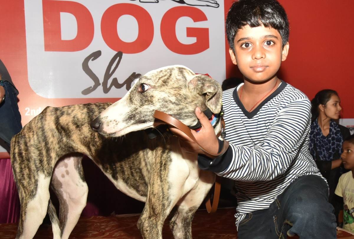 closing ceremony of dog show of amar ulala in lucknow